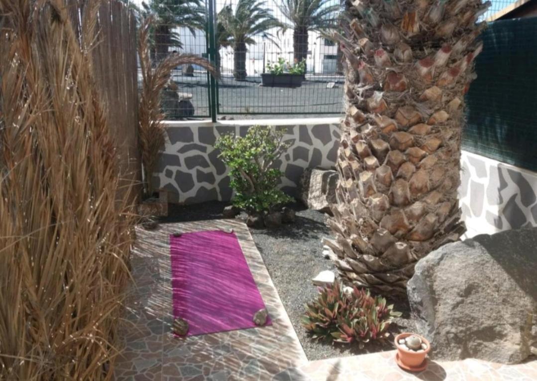 Casita Mary Apartamento Costa Teguise Exterior foto